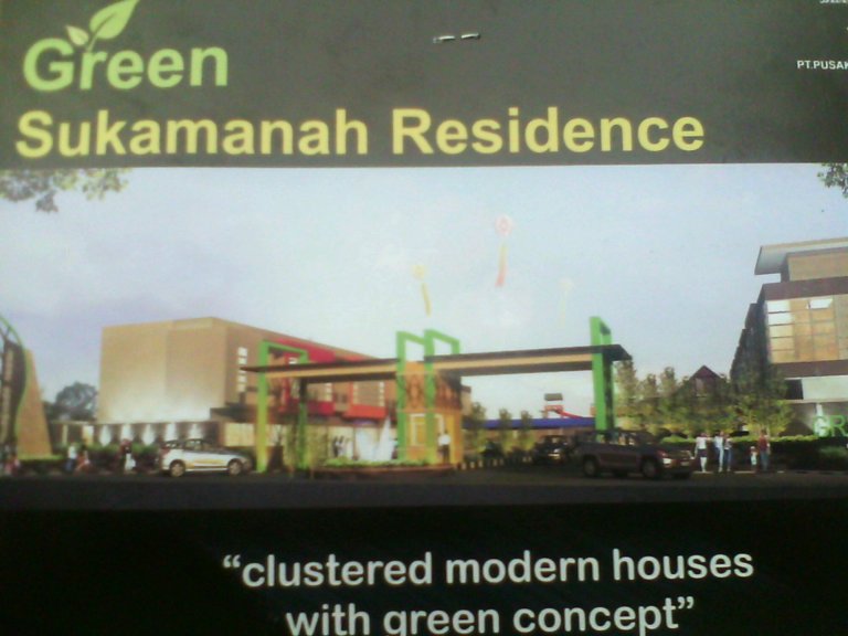 IMG_20131022_053729.jpg image