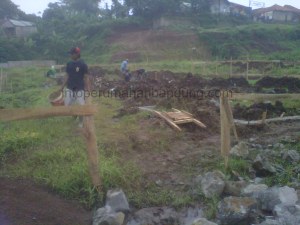 IMG00029-20140713-0847