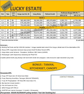 lucky estate