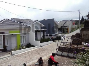 11046618_10202764950079734_4607174344019968268_n