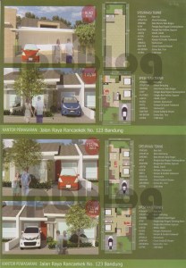Image (3)