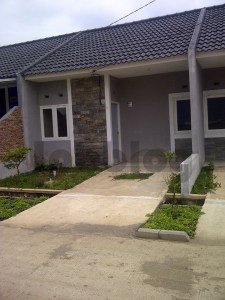 10997989_10203635544480501_8778569721087790506_n