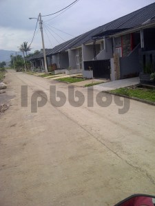 11008790_10203635548800609_3303998344795046513_n