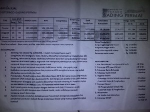 11169787_10203635581121417_605837204186901923_n