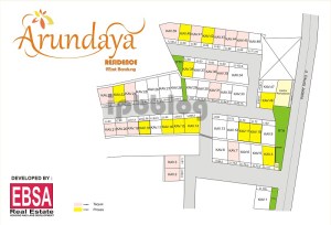 11738036_952514571438514_7941030659206895200_n