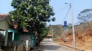 11896994_10203329750043802_753355534_n