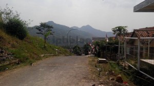 11910875_10203329750243807_1137999882_n