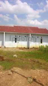 12042018_10208123297228439_1095091594_n