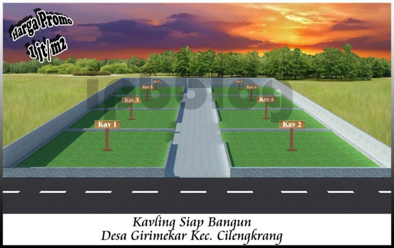 11406904_10203260977640113_8944149957699210113_n