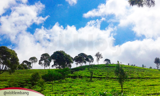 12274548_478975188940627_6715258458515683644_n copy