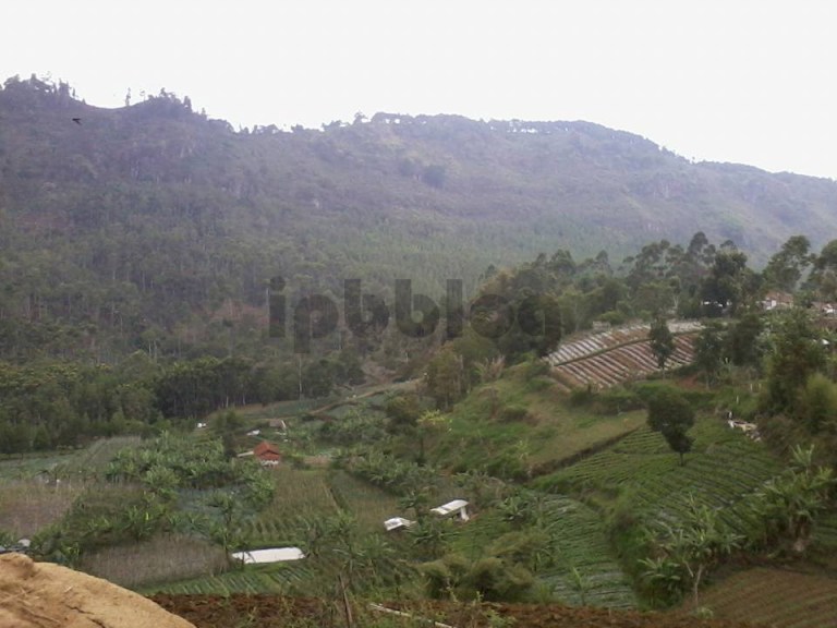 12295341_10205024953572823_6443692140193375952_n