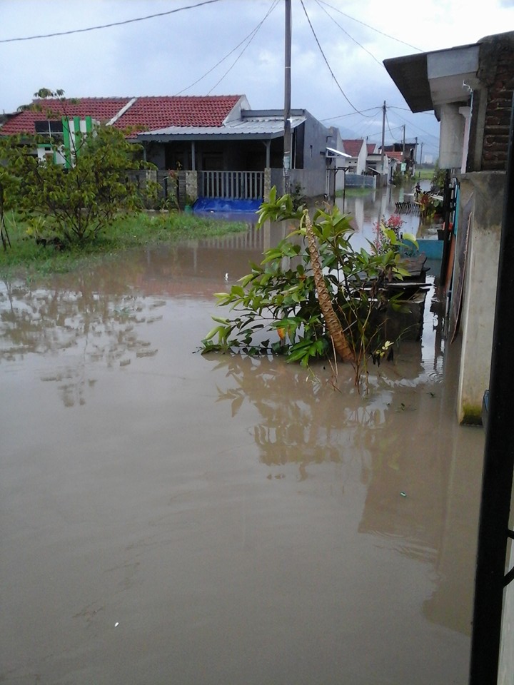 10399877_196945780684723_6232949127874622641_n