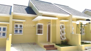 54ff5f2e-4927-461b-8f88-c04b777dcb27 copy