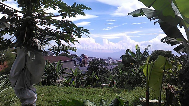 1a42441f-df26-464e-843b-3677fe42a08b