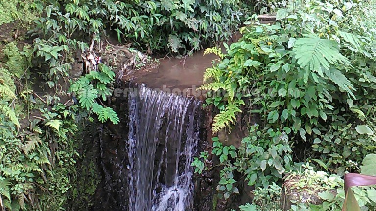 5b3000cc-f110-4649-8393-51473548324b