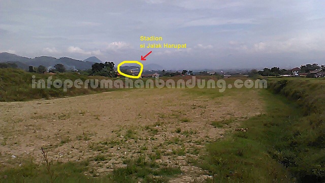 f42d873f-f303-47ac-ad16-86d6d6a4ed7e