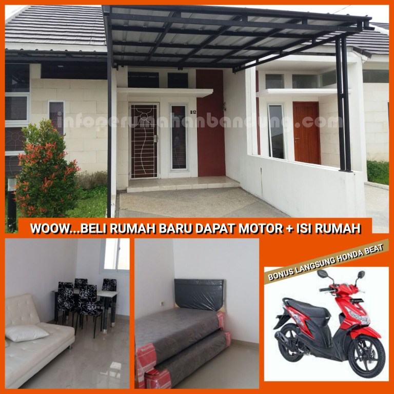 19d6e043-97bc-4dab-abc4-aaf8d5df0e63-copy