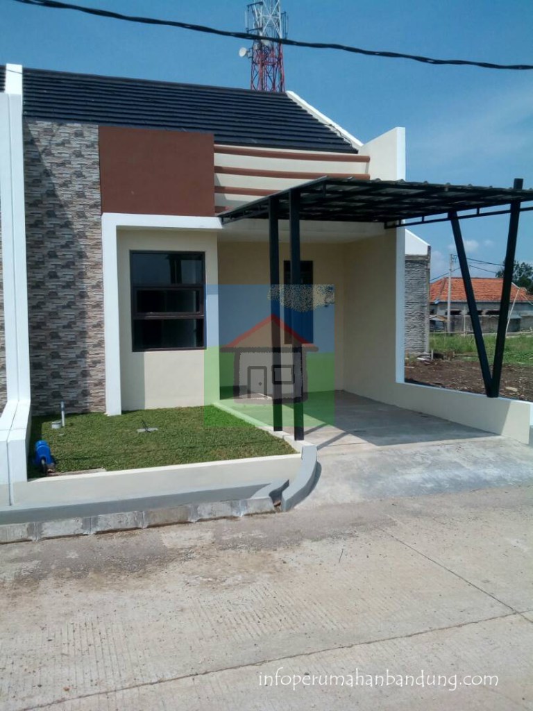 BrioZingonium_2 copy