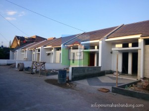 3207afd4-8dba-4341-8c04-0c9ba1bbf2cc copy