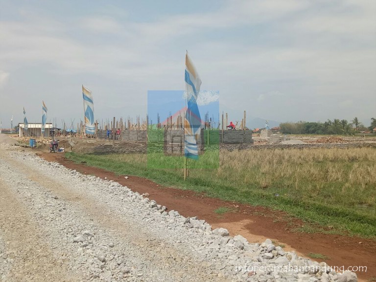 701a3433-2ab5-4a5d-a09e-12be3be38093 copy