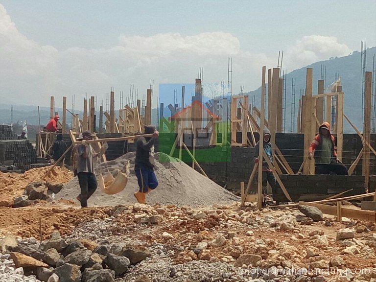 74cef801-d437-4158-a4dd-33ceb9c22c46 copy