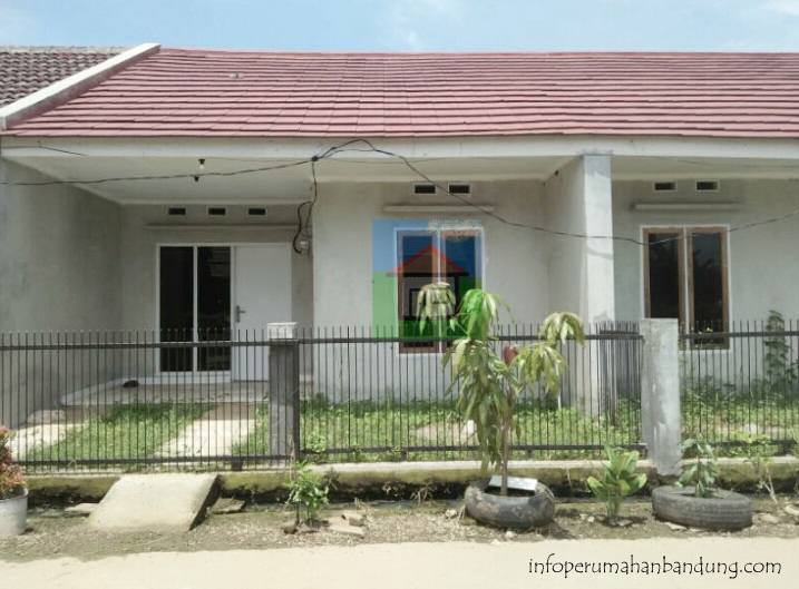 PhotoGrid_1509616216899 copy