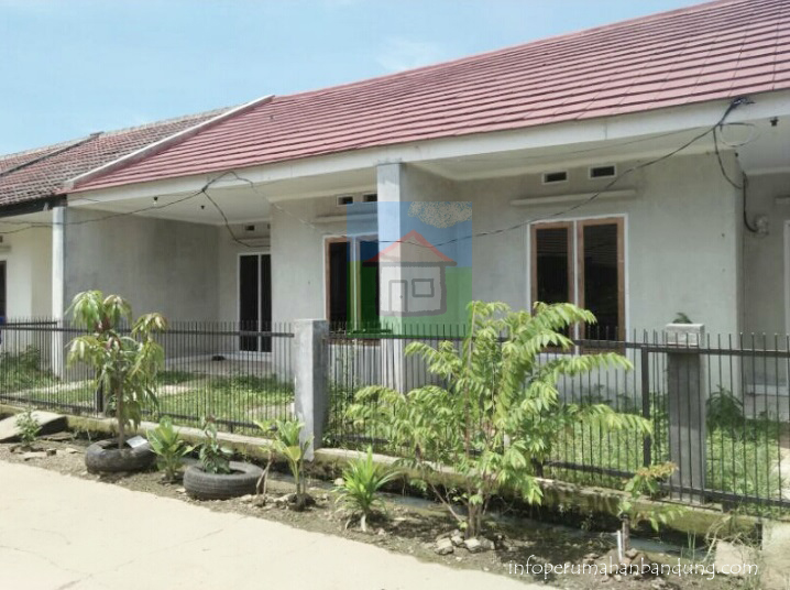 PhotoGrid_1509616239993 copy