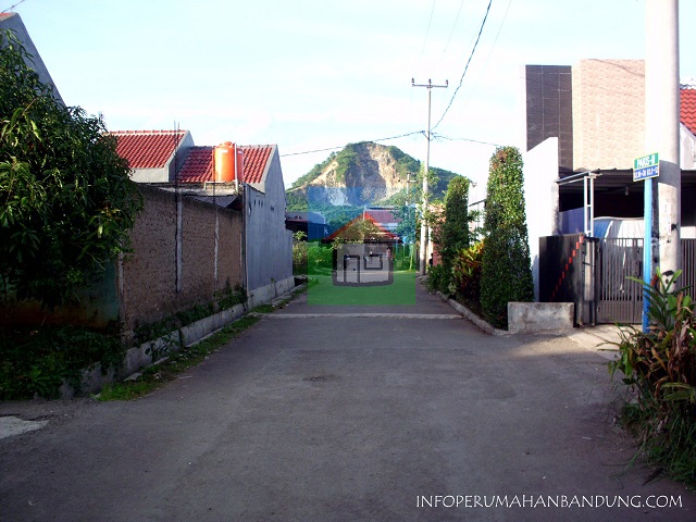 d1529f0c-cb84-4c7b-bb7f-cc45cb9d6342 copy