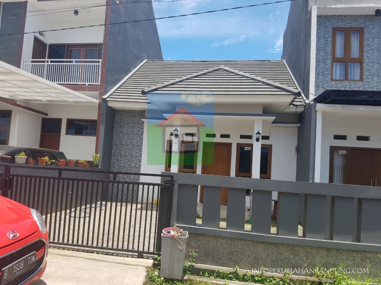 AnthoriumArcamanik copy