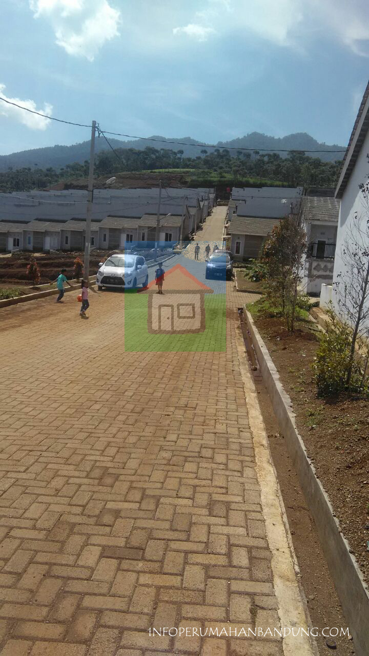 4f4460ec-8380-40ff-bf9e-3c31cffa9518 copy