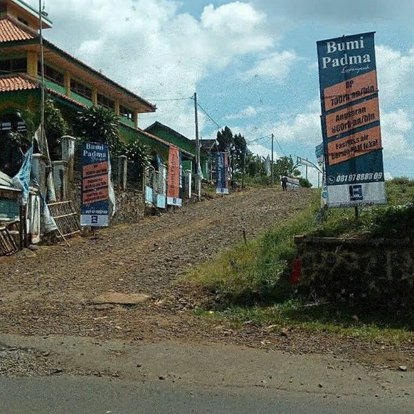 34048464_1004861572996030_2112927711230951424_n