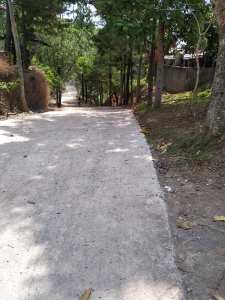 41471233_2141118692565119_6274952966122242048_n