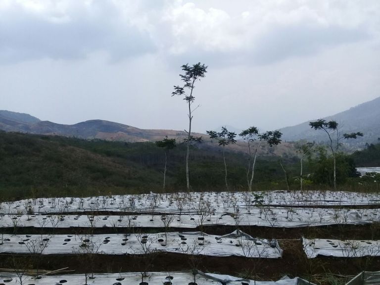 42cd9a22-2ef0-461a-ac74-21c18cdbebde