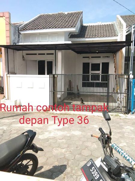 44933797_10215192539584753_6554077272872058880_n