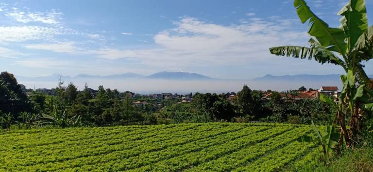 d30566f2-0d6a-45c4-bad2-f855c2377b13