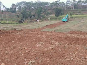 49815840_214807492795141_4025564798048534528_o