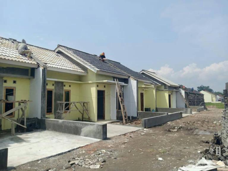 50006555_1287182111430174_2478741689422839808_o