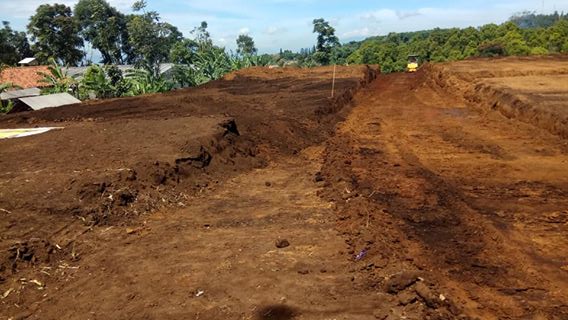 51057904_373750236510630_6354100108056854528_n