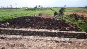 52351534_803574023328415_6415692795234746368_o