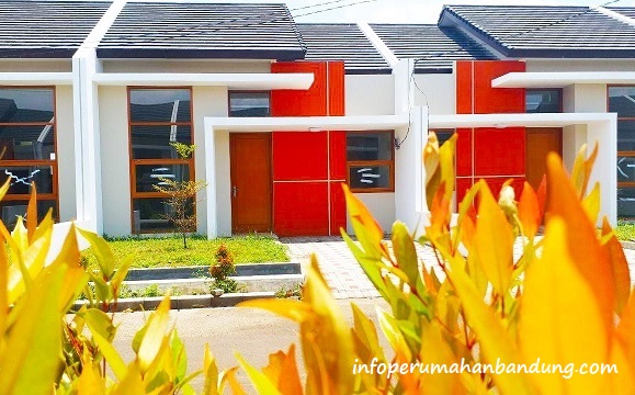 1c69f4ef-ec37-491b-9206-459d0d5a1f3b