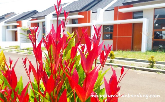 f344f1e5-4e42-4075-9c97-65cc5e3b10d6