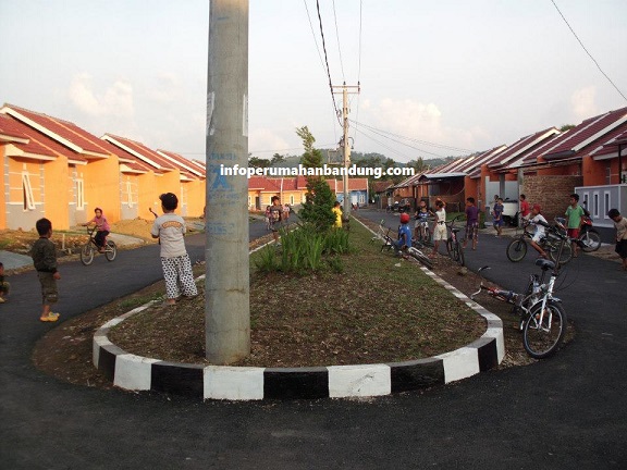 550529_523359554365646_2129070351_n