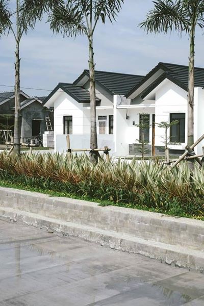 57032152_1008358229370079_7263581814059433984_n