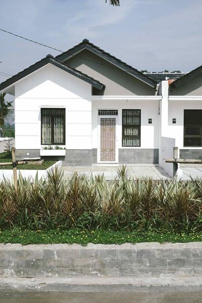 57348139_1008358209370081_5185265264287023104_n