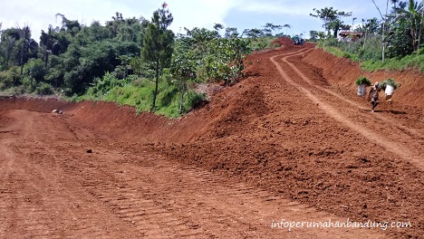 Pematangan lahan KTC