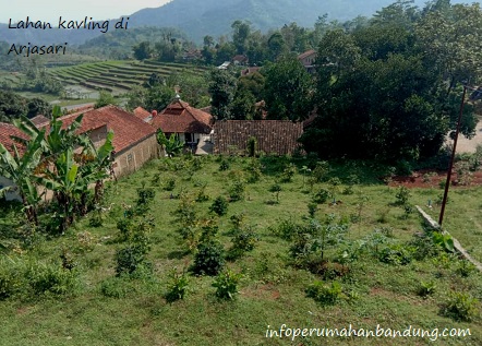 d2f6021c-9ac6-4b73-a1e8-fe73ed8d8e1d