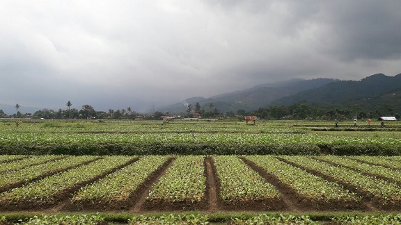 Lahan_developer syariah bandung_ShariaIslamicSoreang